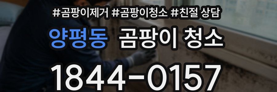 양평동 곰팡이 청소