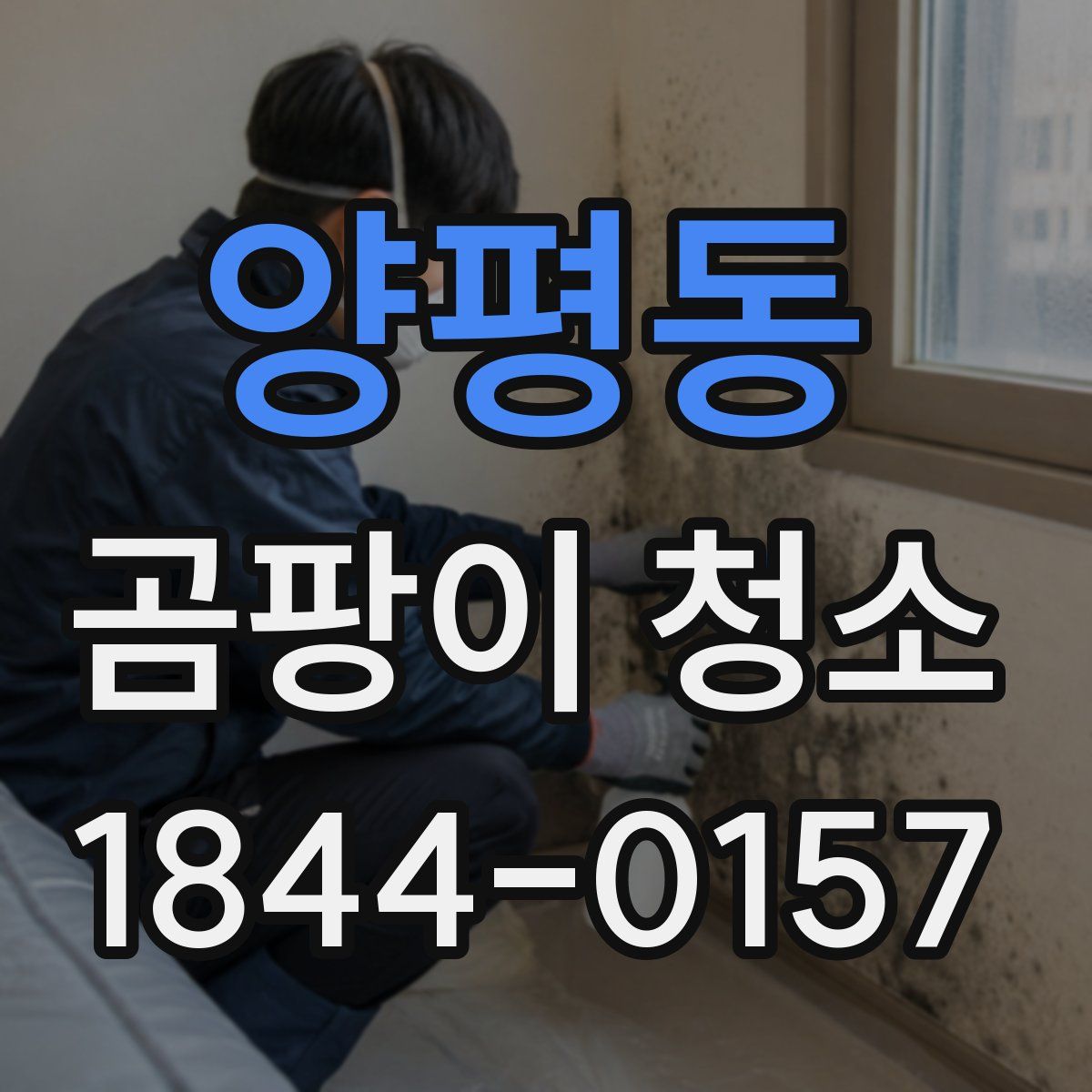양평동 곰팡이 청소