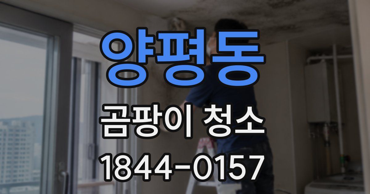 양평동 곰팡이 청소