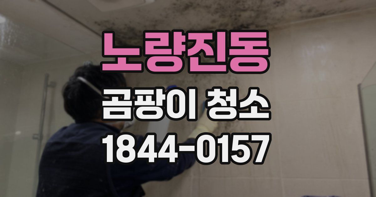 노량진동 곰팡이 청소
