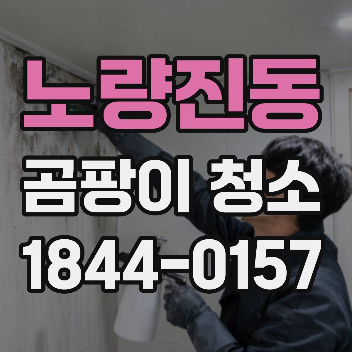 노량진동 곰팡이 청소