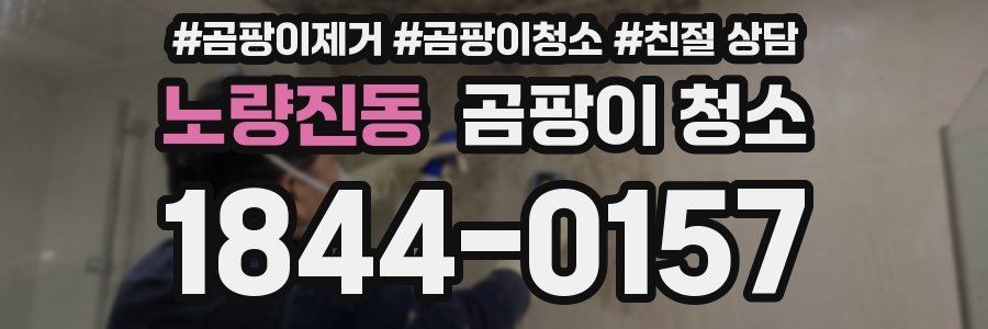 노량진동 곰팡이 청소