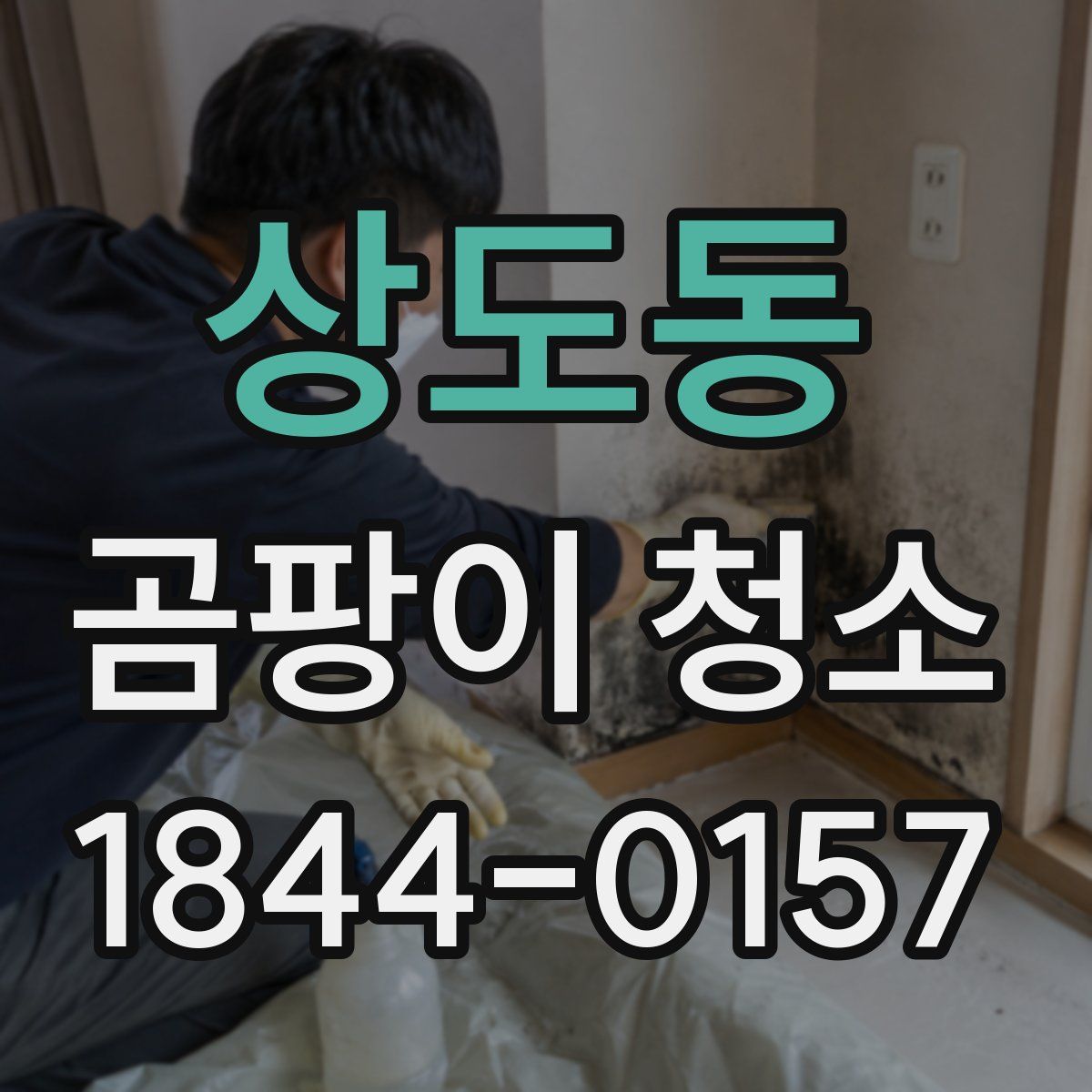 상도동 곰팡이 청소