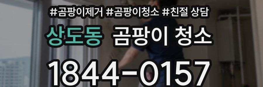 상도동 곰팡이 청소