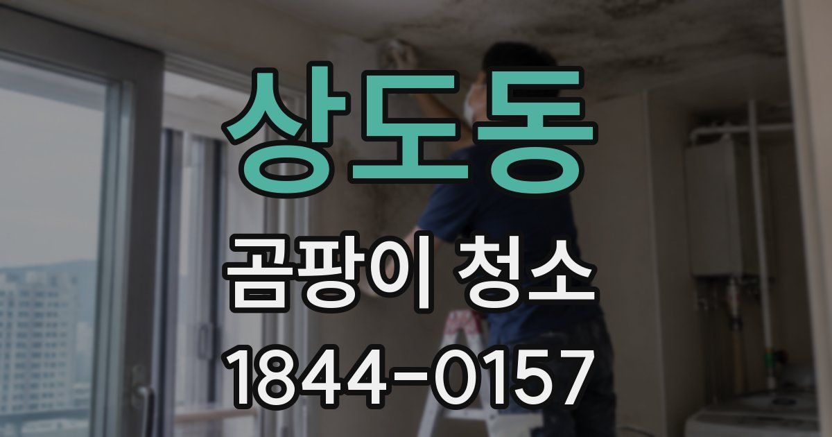 상도동 곰팡이 청소