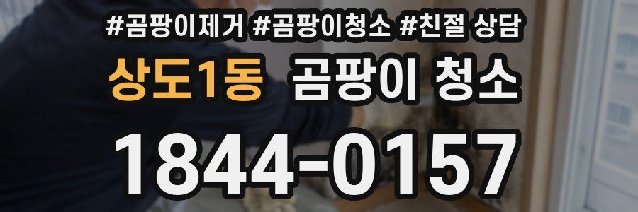 상도1동 곰팡이 청소