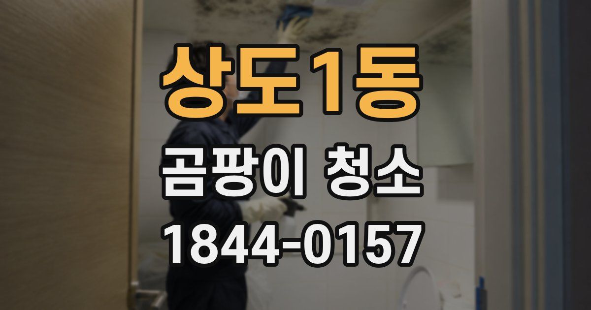 상도1동 곰팡이 청소