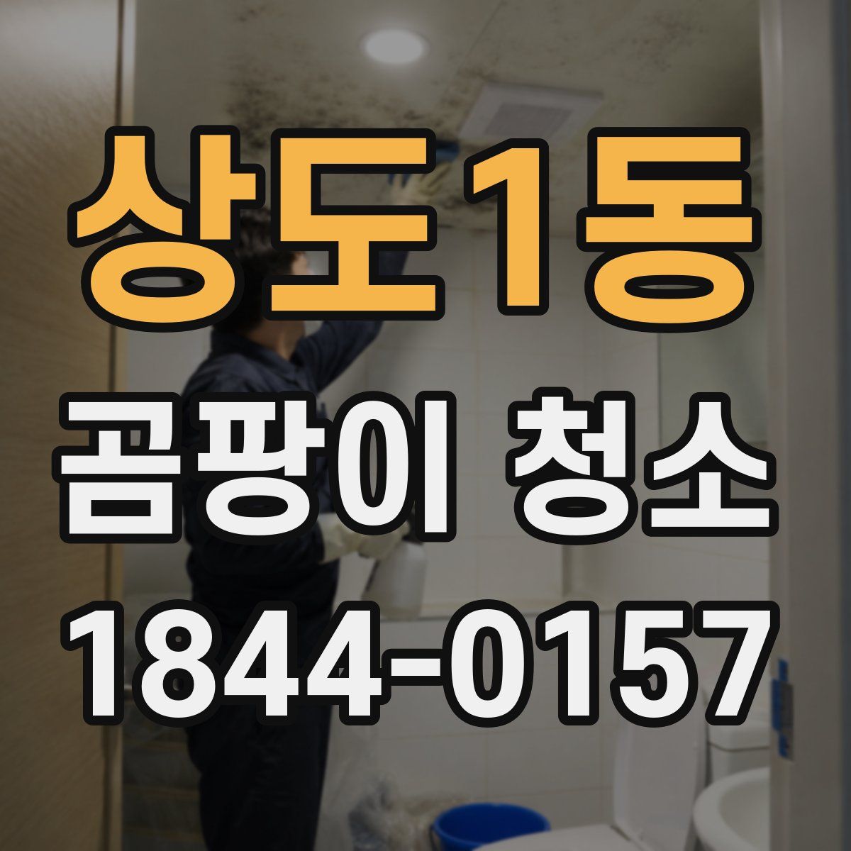 상도1동 곰팡이 청소