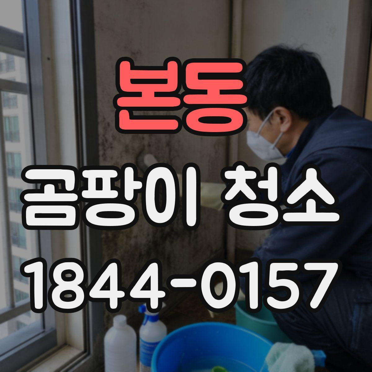 본동 곰팡이 청소