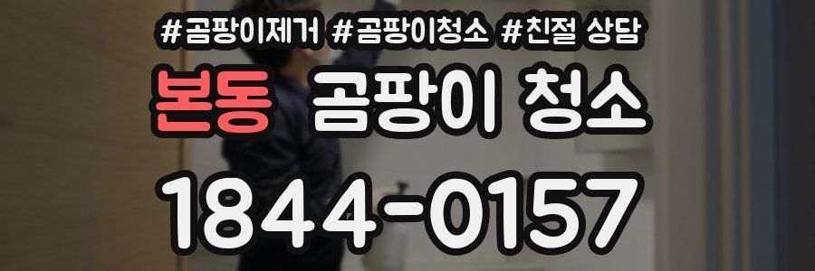 본동 곰팡이 청소