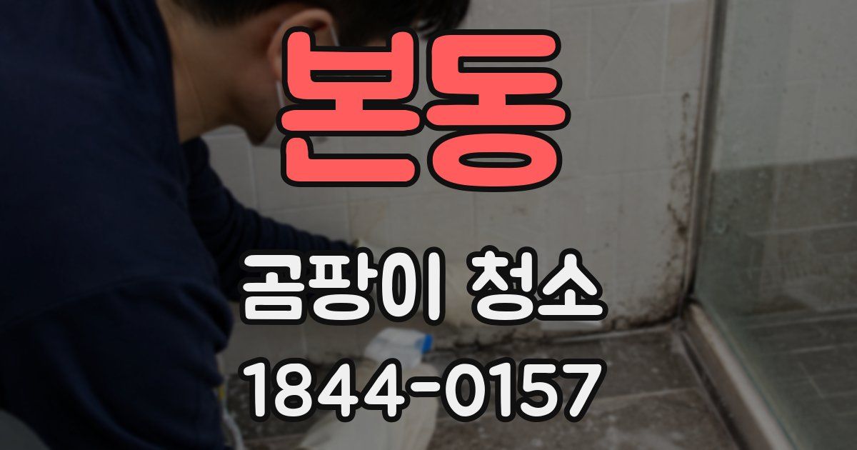 본동 곰팡이 청소