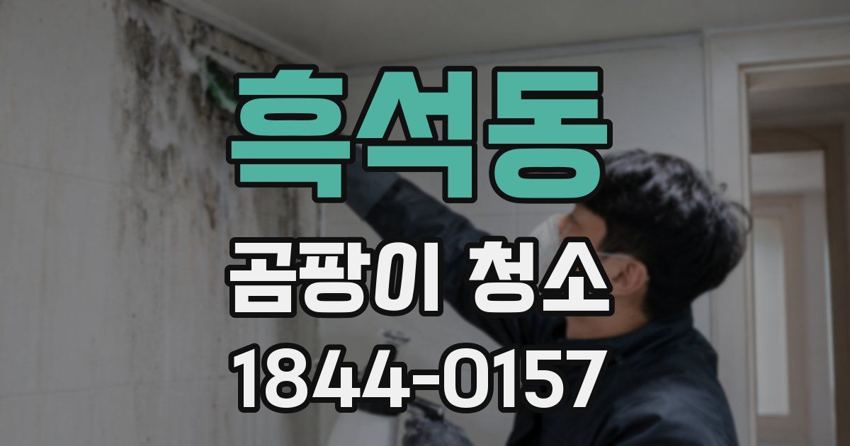 흑석동 곰팡이 청소