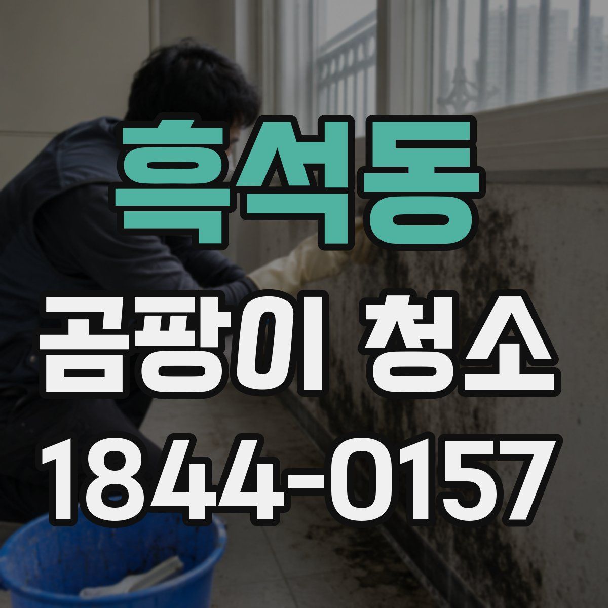 흑석동 곰팡이 청소