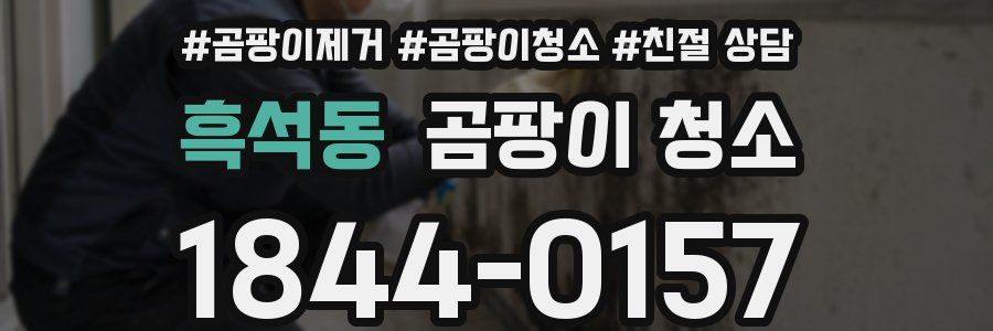 흑석동 곰팡이 청소