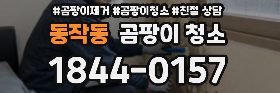 동작동 곰팡이 청소
