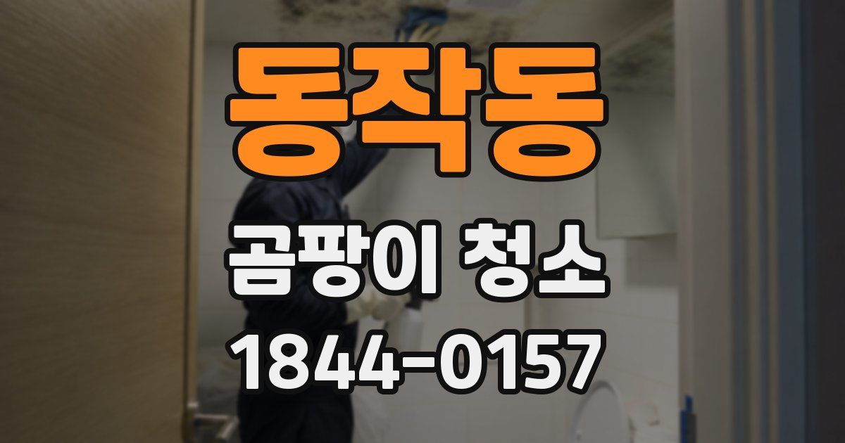 동작동 곰팡이 청소