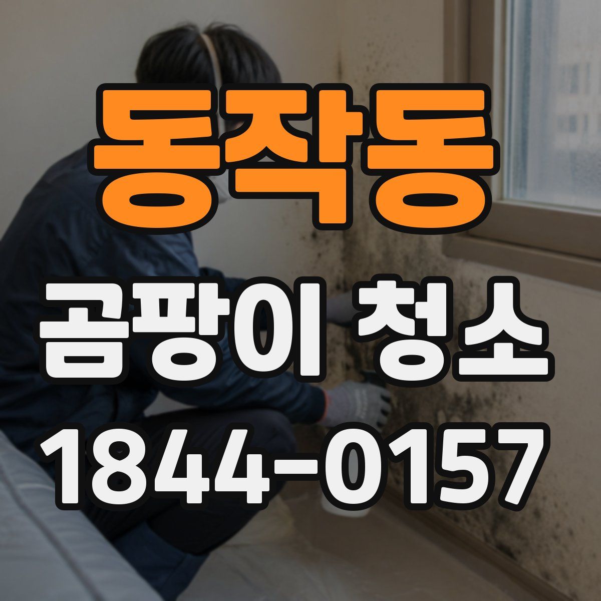 동작동 곰팡이 청소