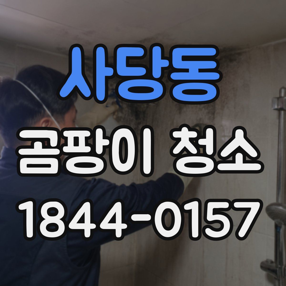 사당동 곰팡이 청소