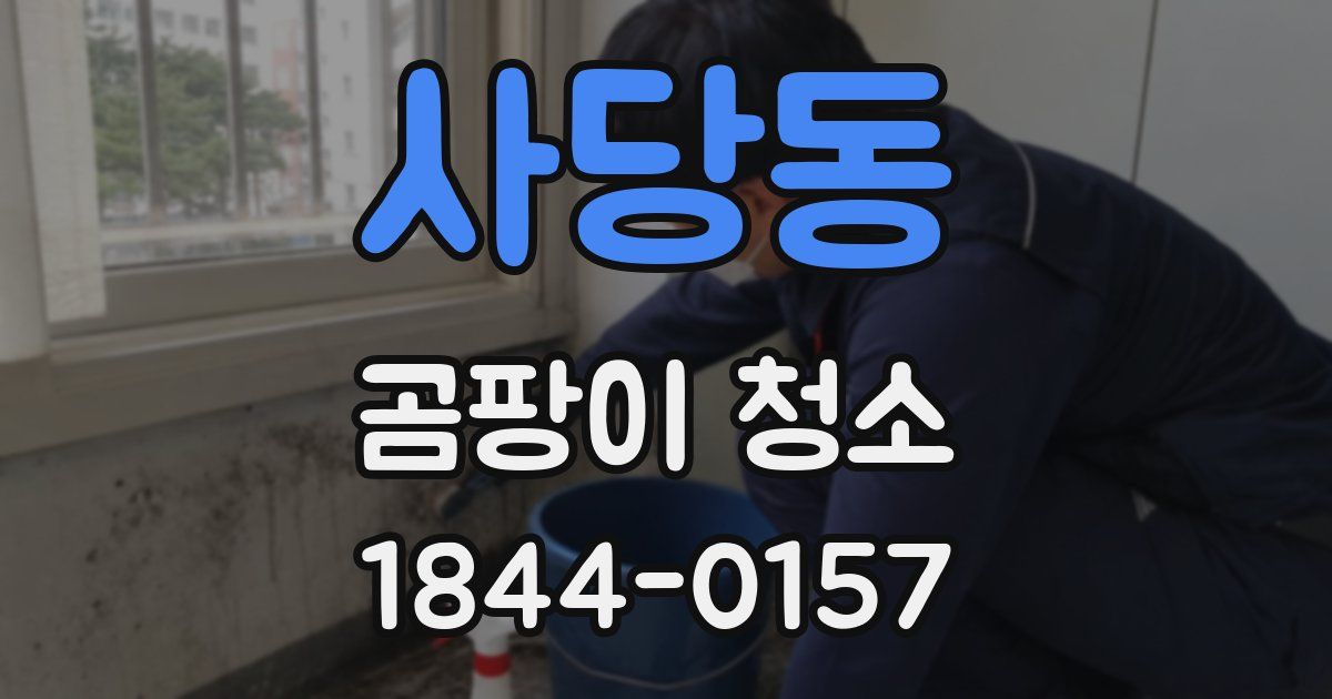 사당동 곰팡이 청소