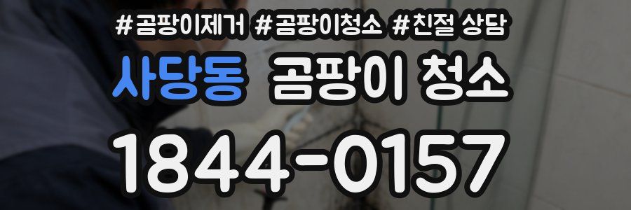 사당동 곰팡이 청소