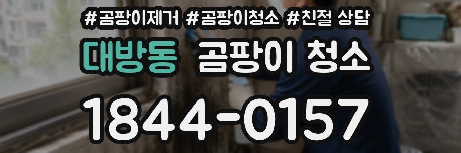 대방동 곰팡이 청소