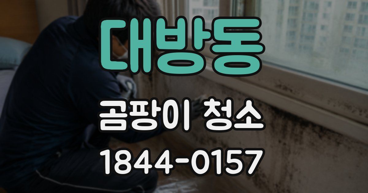 대방동 곰팡이 청소
