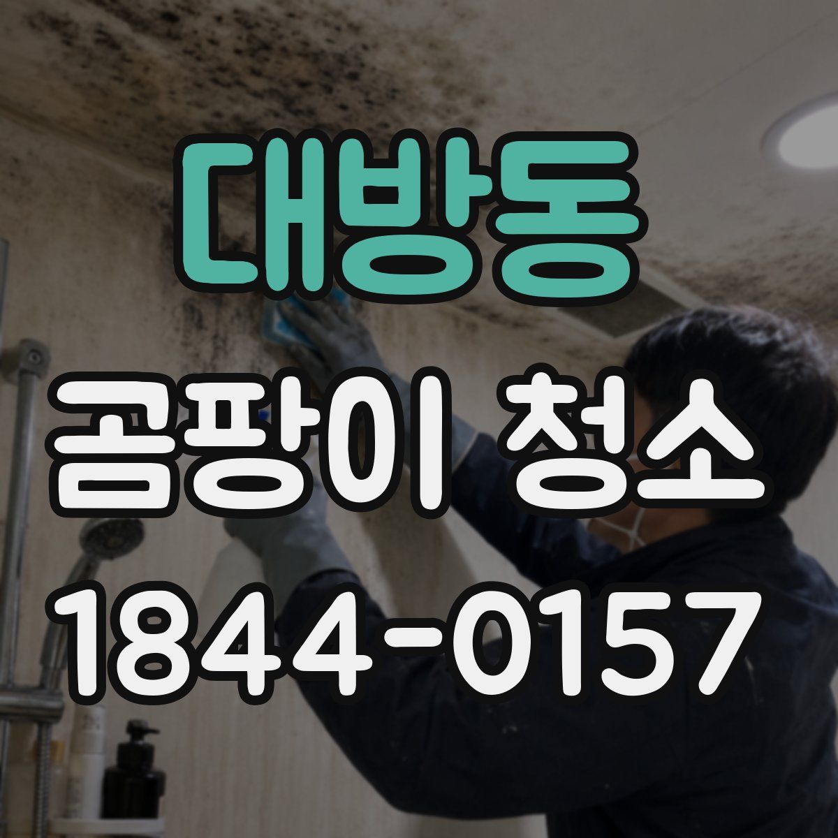 대방동 곰팡이 청소