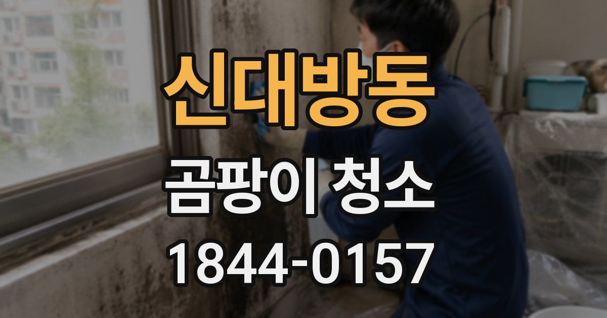 신대방동 곰팡이 청소