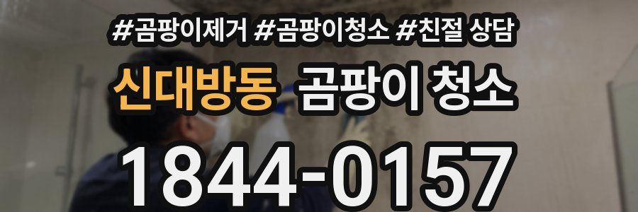 신대방동 곰팡이 청소