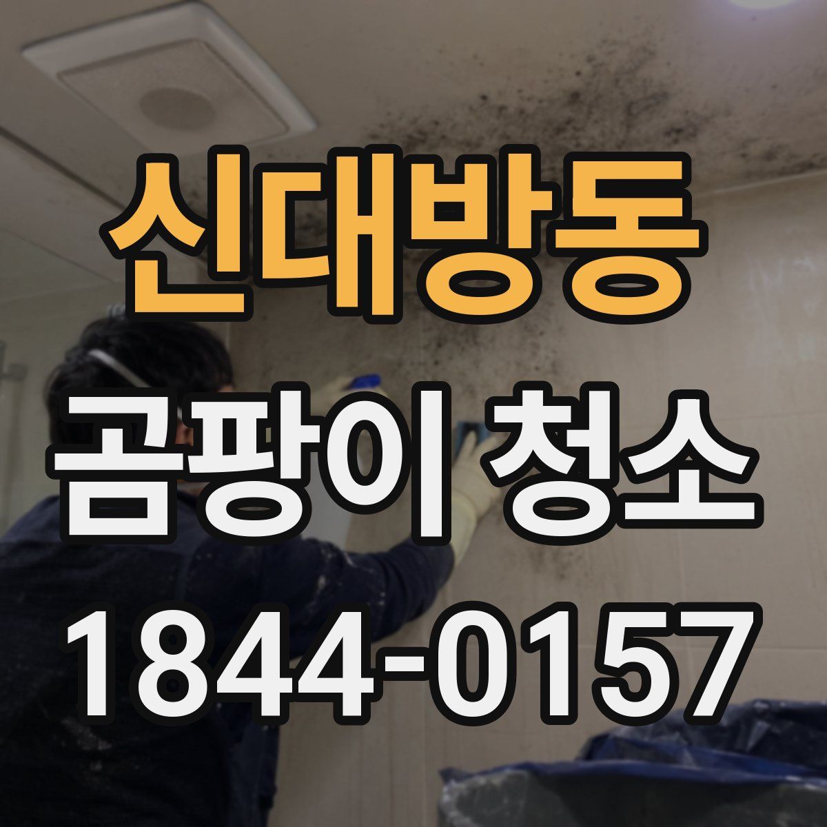 신대방동 곰팡이 청소