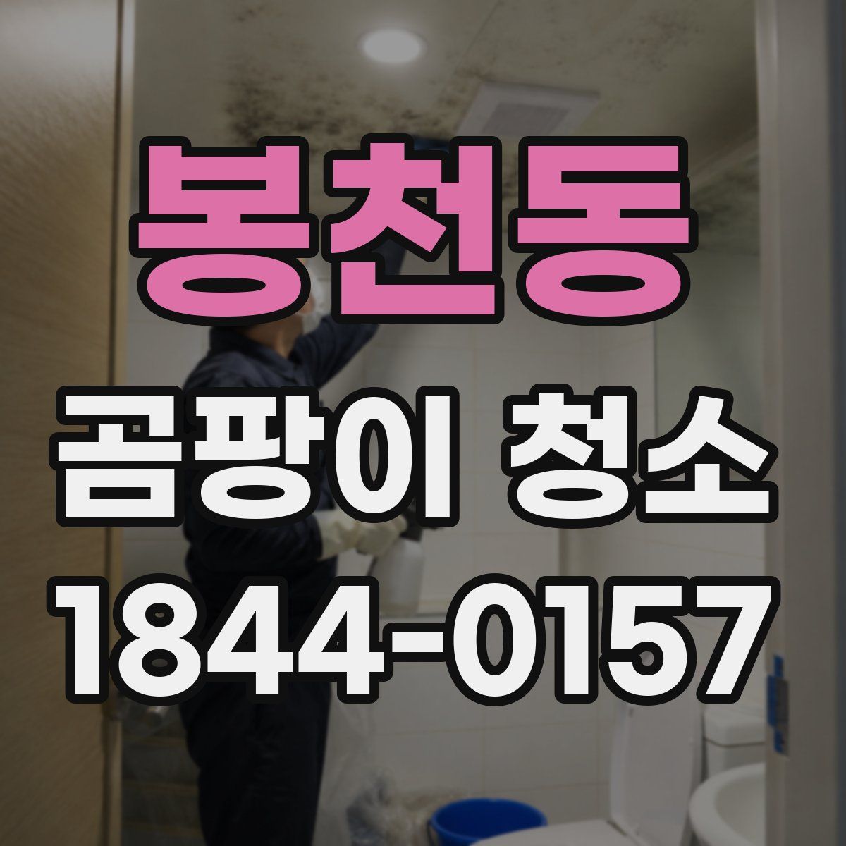 봉천동 곰팡이 청소