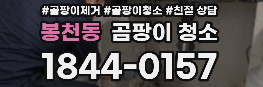 봉천동 곰팡이 청소