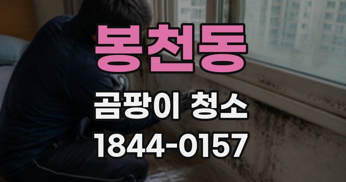 봉천동 곰팡이 청소