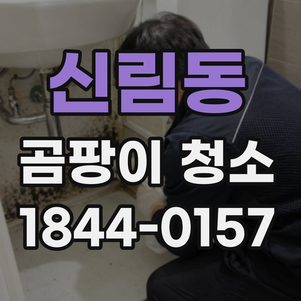 신림동 곰팡이 청소