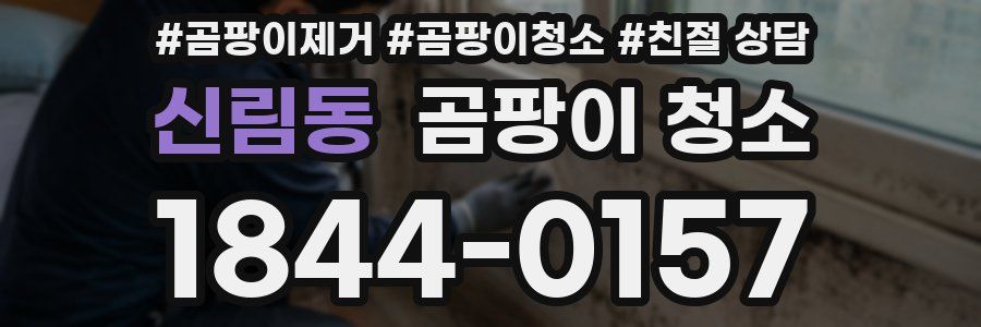 신림동 곰팡이 청소