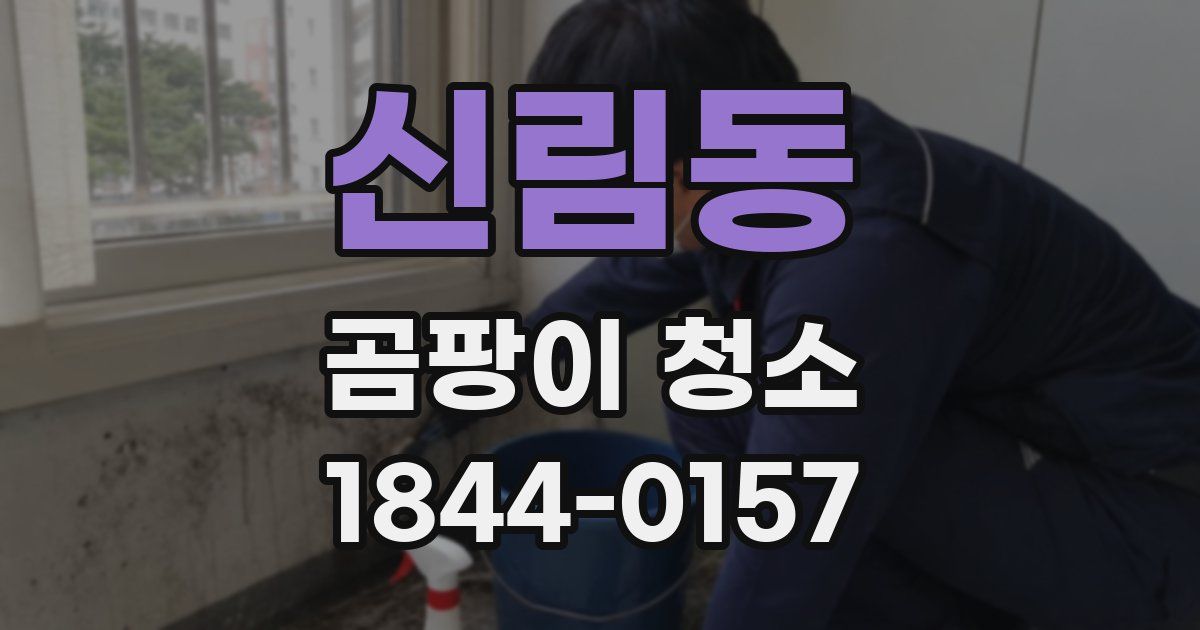 신림동 곰팡이 청소