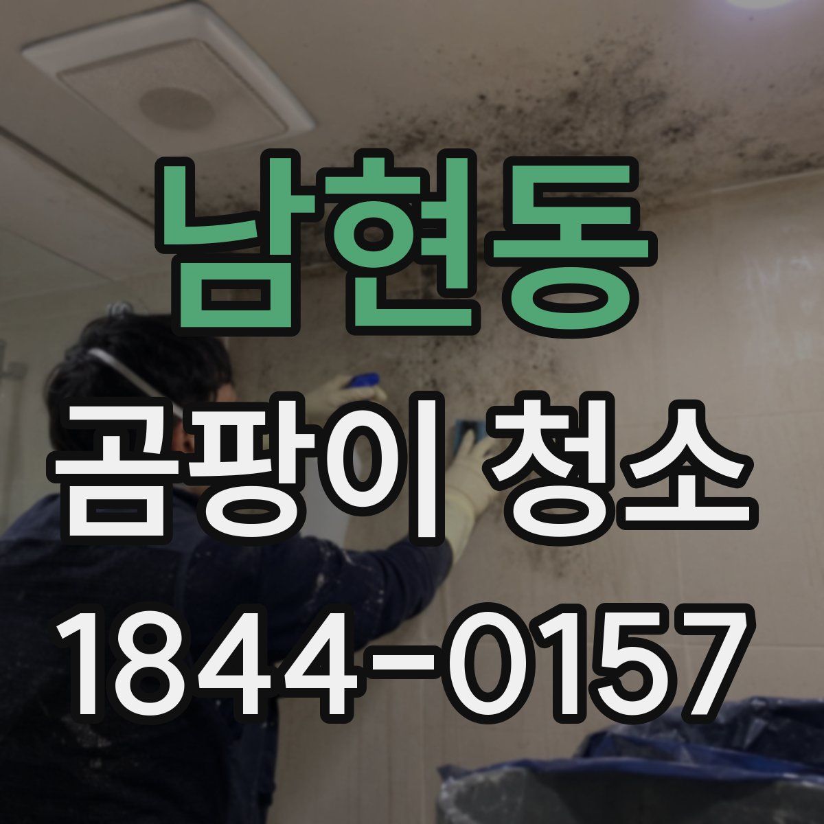 남현동 곰팡이 청소