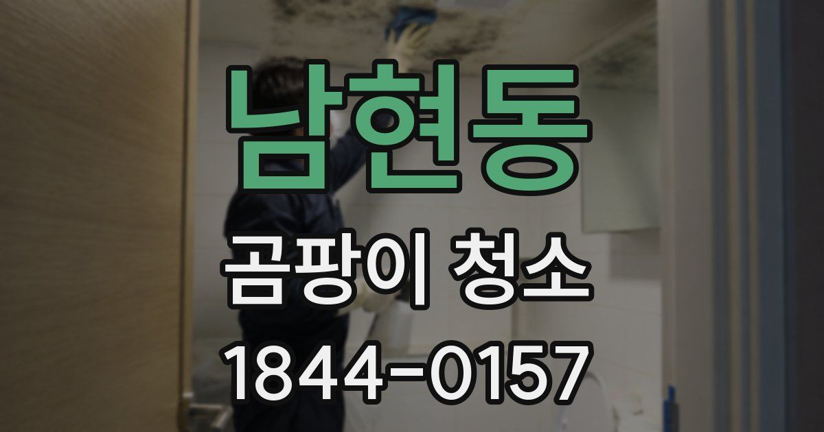 남현동 곰팡이 청소