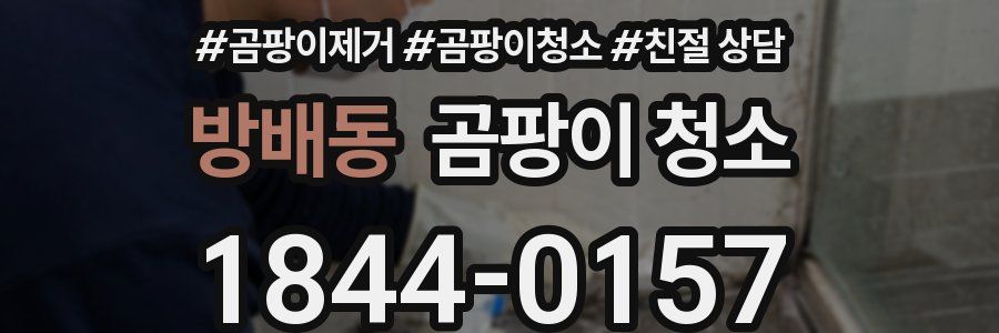 방배동 곰팡이 청소