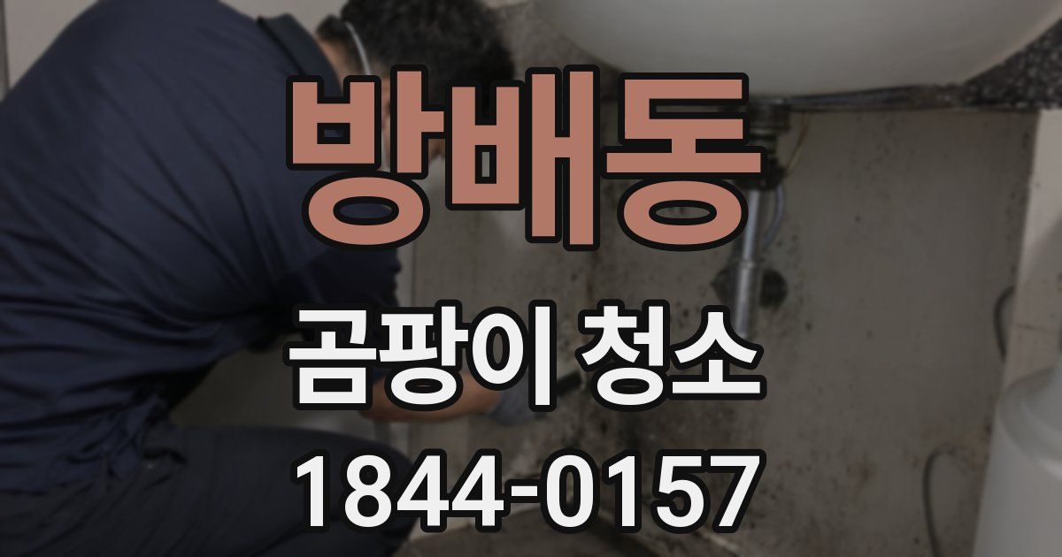 방배동 곰팡이 청소