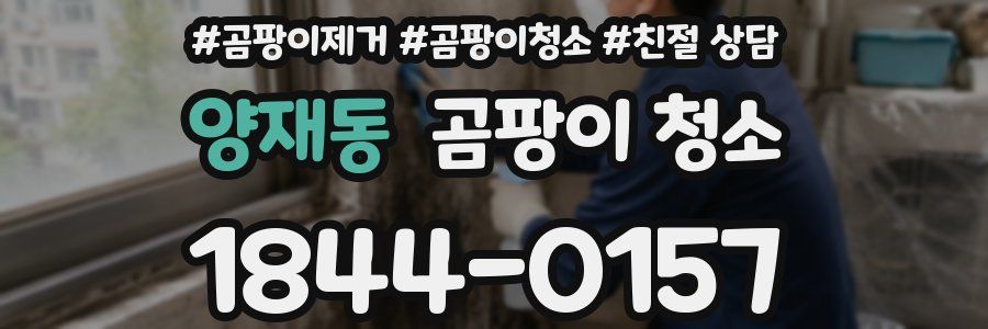 양재동 곰팡이 청소