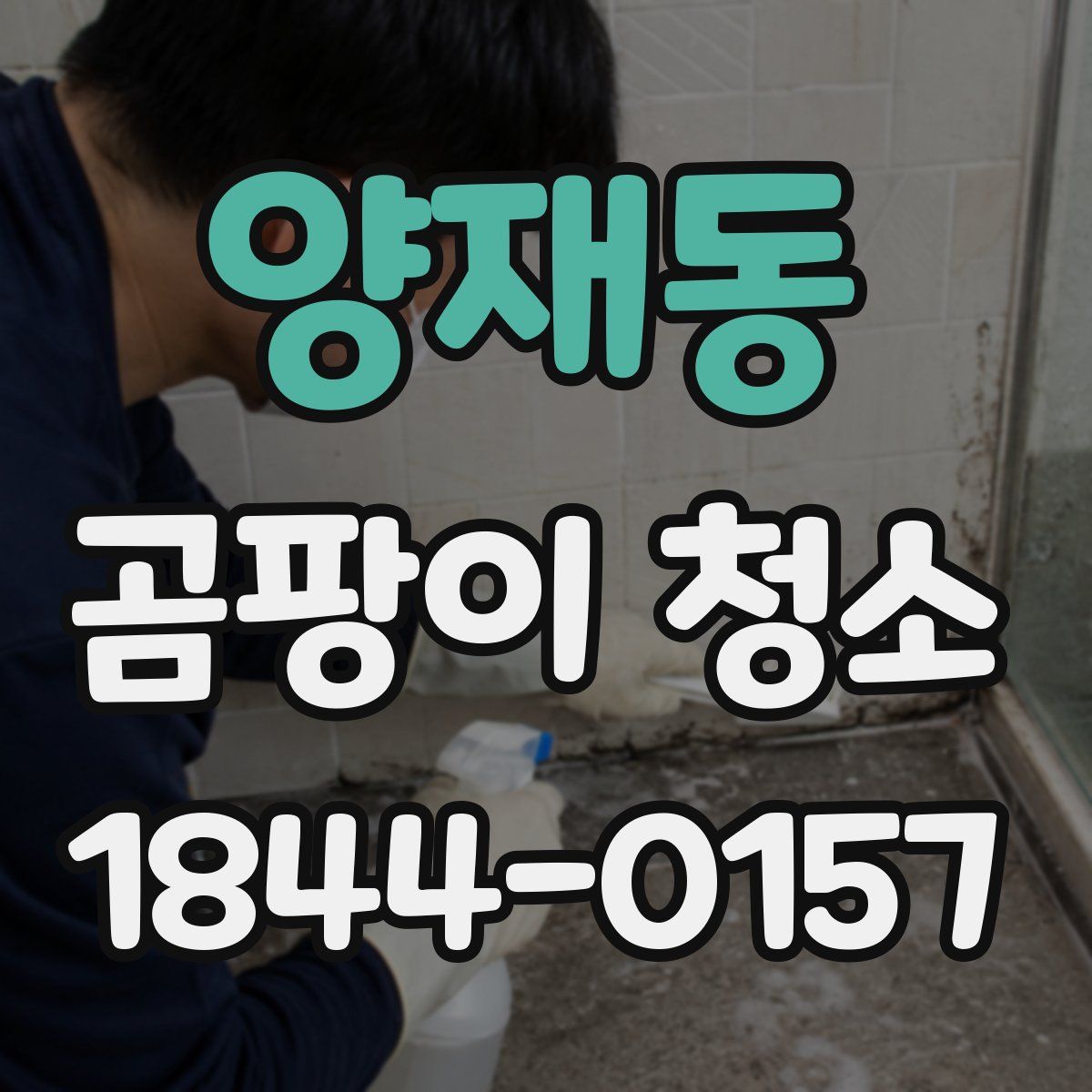 양재동 곰팡이 청소