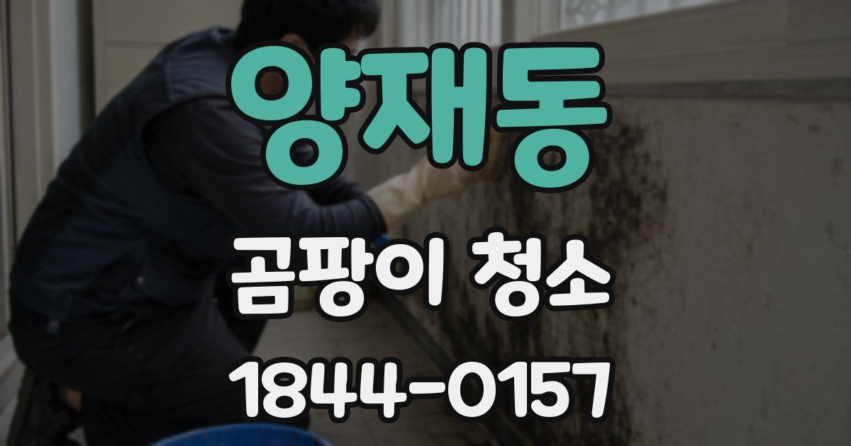양재동 곰팡이 청소