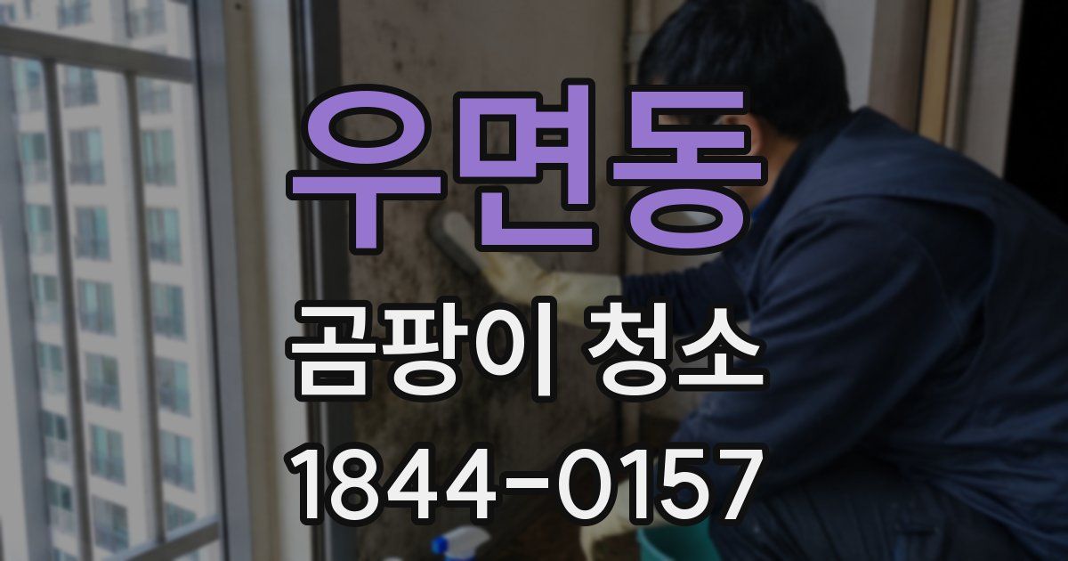 우면동 곰팡이 청소