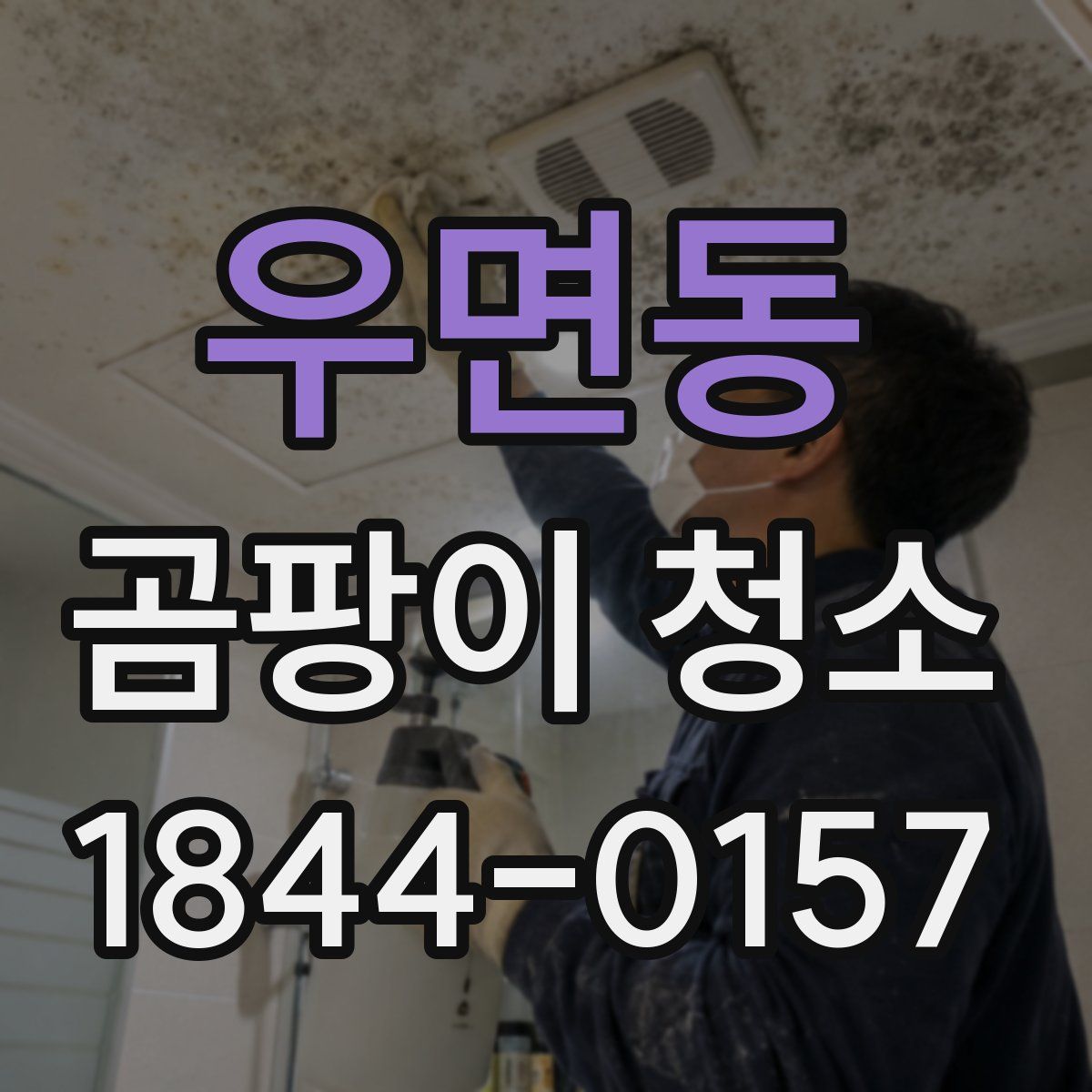 우면동 곰팡이 청소