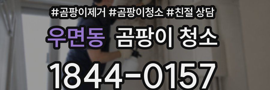 우면동 곰팡이 청소