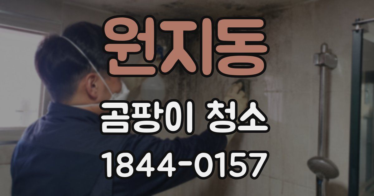 원지동 곰팡이 청소