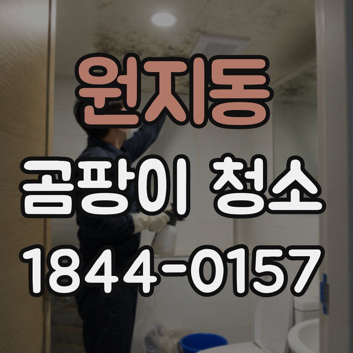 원지동 곰팡이 청소