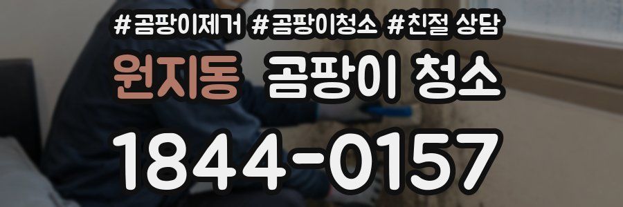 원지동 곰팡이 청소