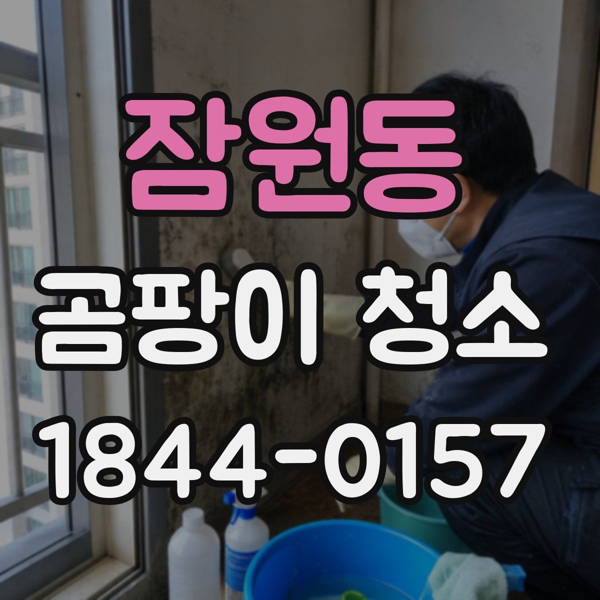 잠원동 곰팡이 청소